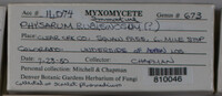 Image Associated With the Occurence